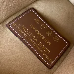 Louis Vuitton SIDE TRUNK Medium Handbag Case 23.5cm - Image 9