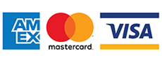Visa and secure card payment