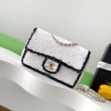 Chanel Chanel Vanity Case with Chain Small 19cm product photo