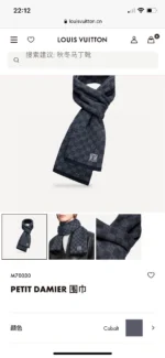 Louis Vuitton Petit Damier Knit Wool Scarf - Image 2
