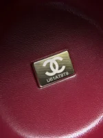 Chanel Matthieu Blazy Red Apple Clutch - Image 10