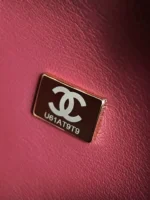 Chanel Silver Oyster Evening Bag - Image 9