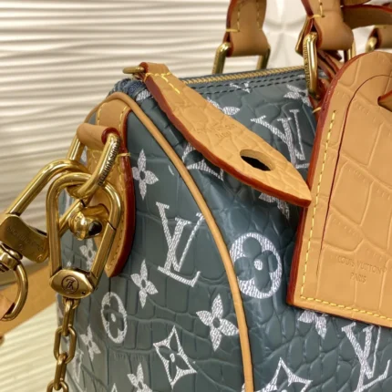 Replica Louis Vuitton Bags collection image