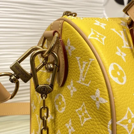 Replica Louis Vuitton Bags collection image