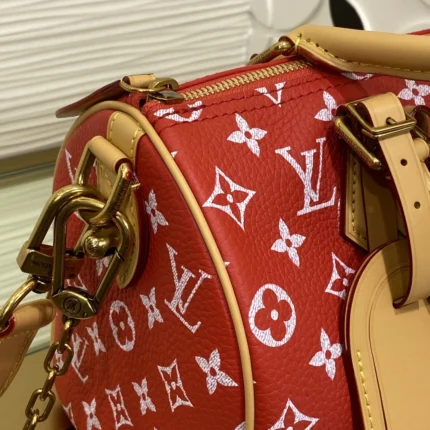 Replica Louis Vuitton Bags collection image