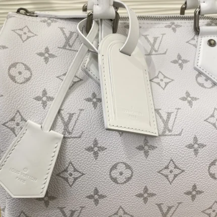 Replica Louis Vuitton Bags collection image