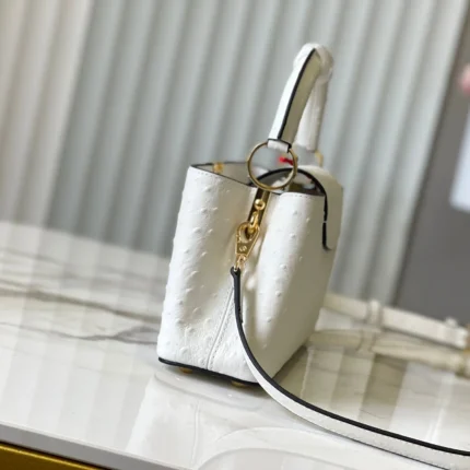 Replica Louis Vuitton Bags collection image