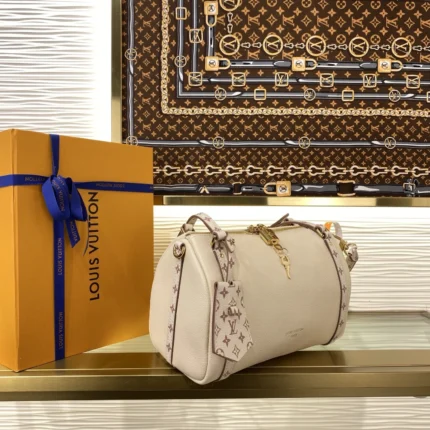 Replica Louis Vuitton Bags collection image