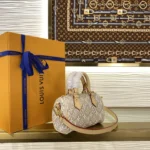 Louis Vuitton Nano Speedy Monogram Embleme M28502 - Image 2