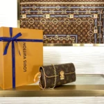Louis Vuitton Pochette Camille Monogram M13566 - Image 3
