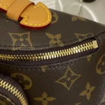 Louis Vuitton Rush Bumbag Vintage M14019 - Image 4