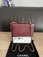 Chanel Crocodile-Embossed Vanity Case with Chain - Image 4
