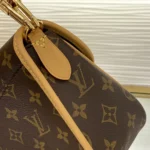 Louis Vuitton Diane Monogram M45985 - Image 4
