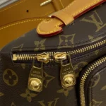 Louis Vuitton Rush Bumbag Vintage M14019 - Image 5