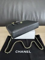 Chanel Vanity Case with Chain Medium 23cm - Image 5