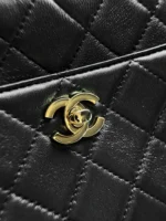 Chanel Handbag 24.5cm - Image 5