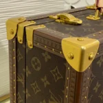 Louis Vuitton Cotteville 45 Hard Trunk - Image 5