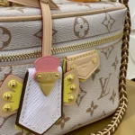 Louis Vuitton Vanity Chain Pouch LV Crafty M29782 - Image 5