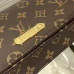 Louis Vuitton Wallet on Chain Lily M82509 - Image 6