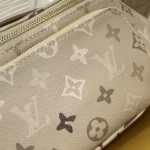 Louis Vuitton Rush Bumbag Monogram Surplus M29274 - Image 6