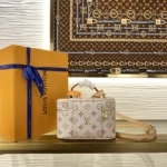 Louis Vuitton Vanity Chain Pouch LV Crafty M29782 - Image 6