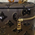 Louis Vuitton Vanity Chain Pouch Monogram Sequins M27049 - Image 6