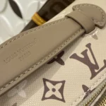 Louis Vuitton Rush Bumbag Monogram Surplus M29274 - Image 8