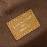 Louis Vuitton Rush Bumbag Vintage M14019 - Image 9