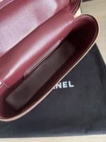 Chanel Crocodile-Embossed Vanity Case with Chain - Image 9