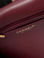Chanel 26A Leopard Dot Flap Bag - Image 9