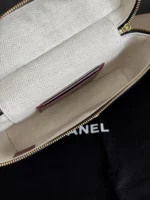 Chanel Vanity Case with Chain Medium 23cm - Image 9