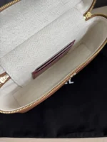 Chanel Vanity Case with Chain Medium 23cm - Image 9