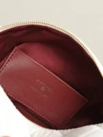 Chanel OHANEL 5310 Handbag 23.5cm - Image 9