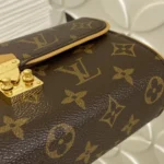 Louis Vuitton Pochette Camille Monogram M13566 - Image 9